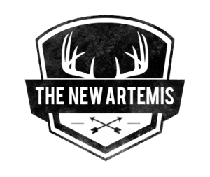 NewArtemisLogo